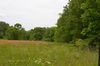 Cook Rd photo